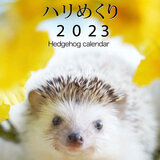 Hedgehog calendar　ハリめくり2023