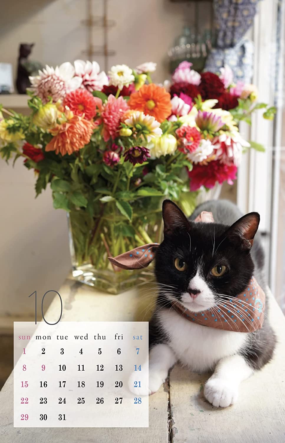 花屋の猫 スカのカレンダー2023｜ONDORI-books｜オンドリ ブックス